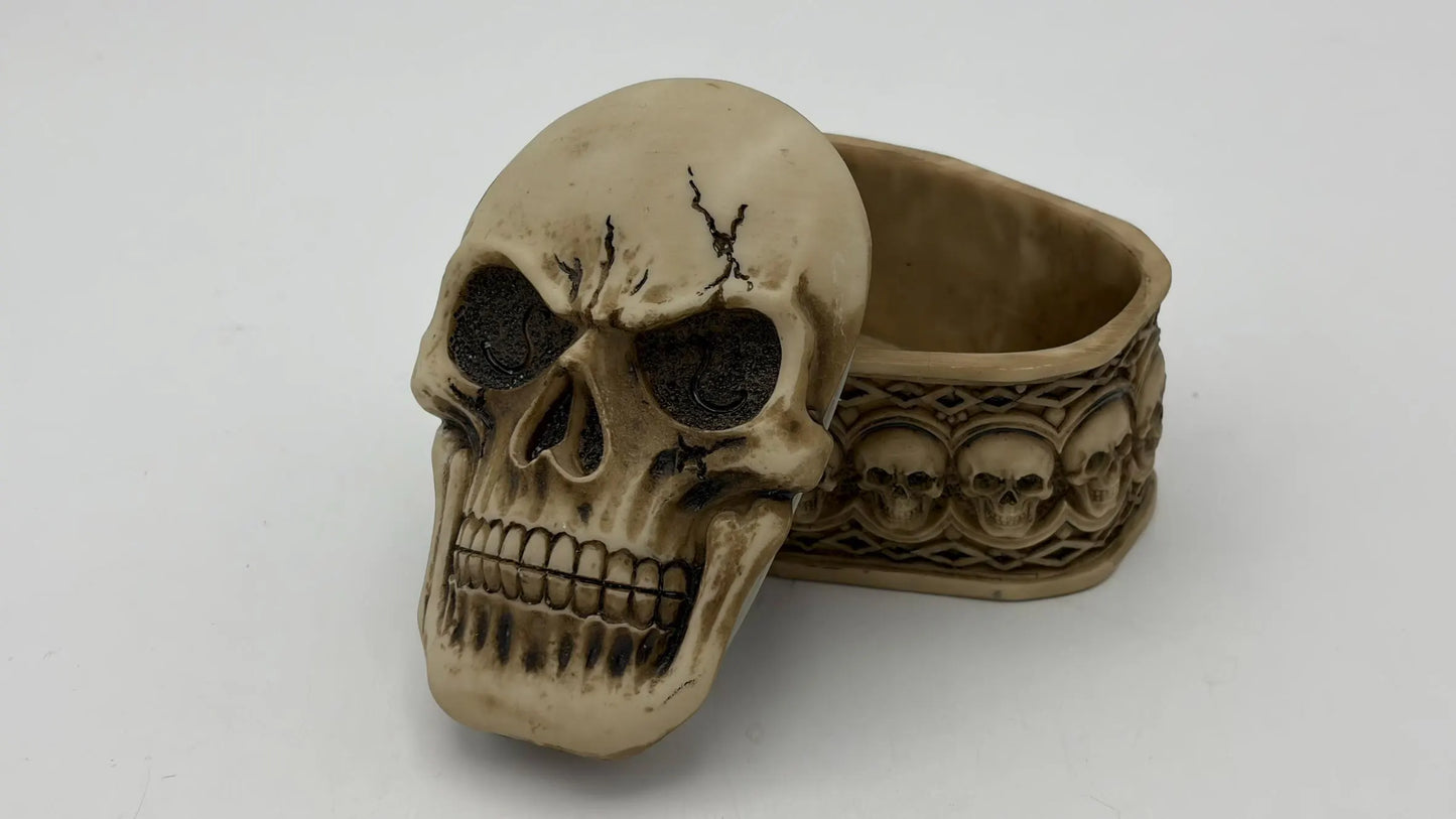 Skull Storage Box