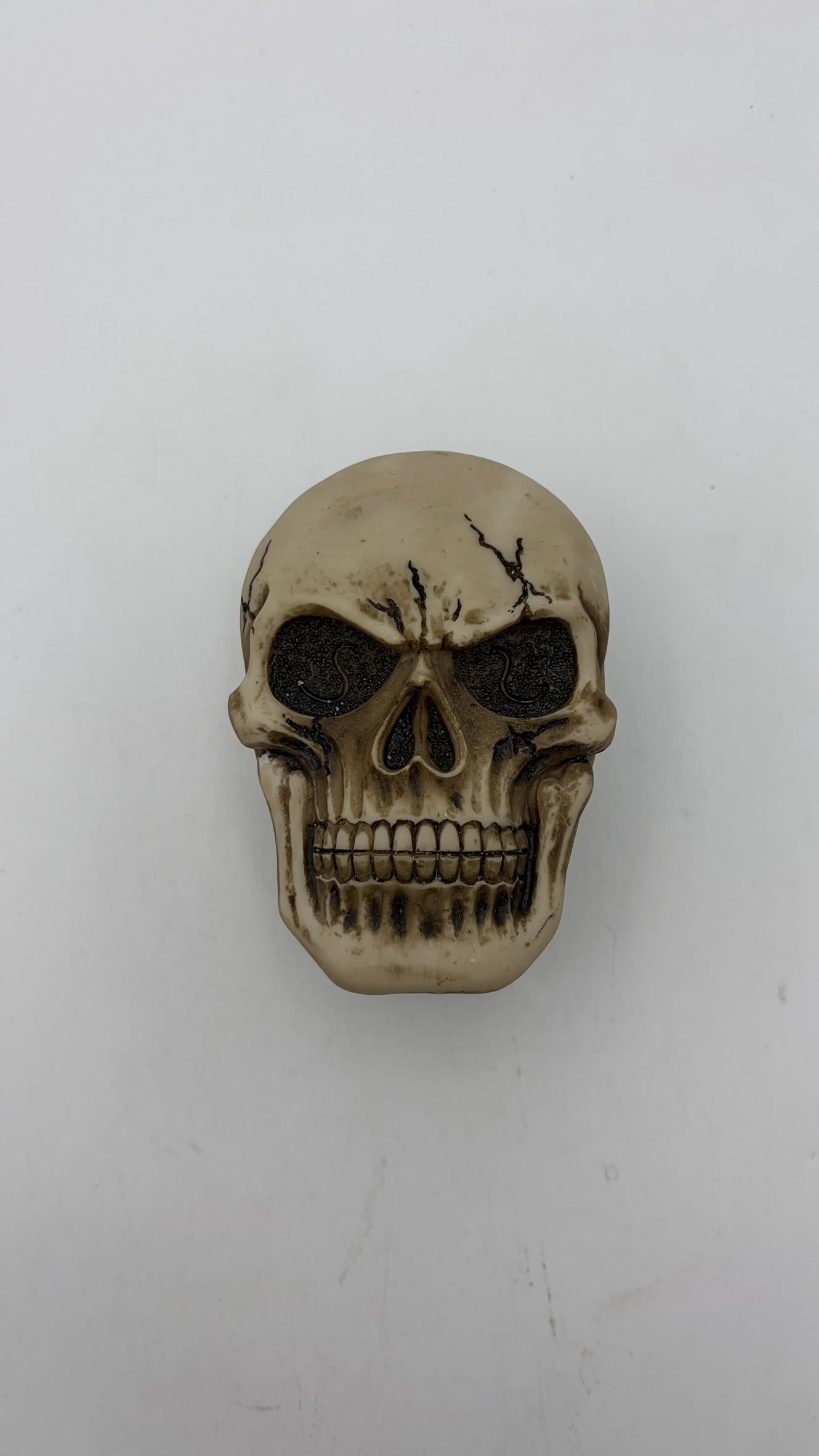 Skull Storage Box