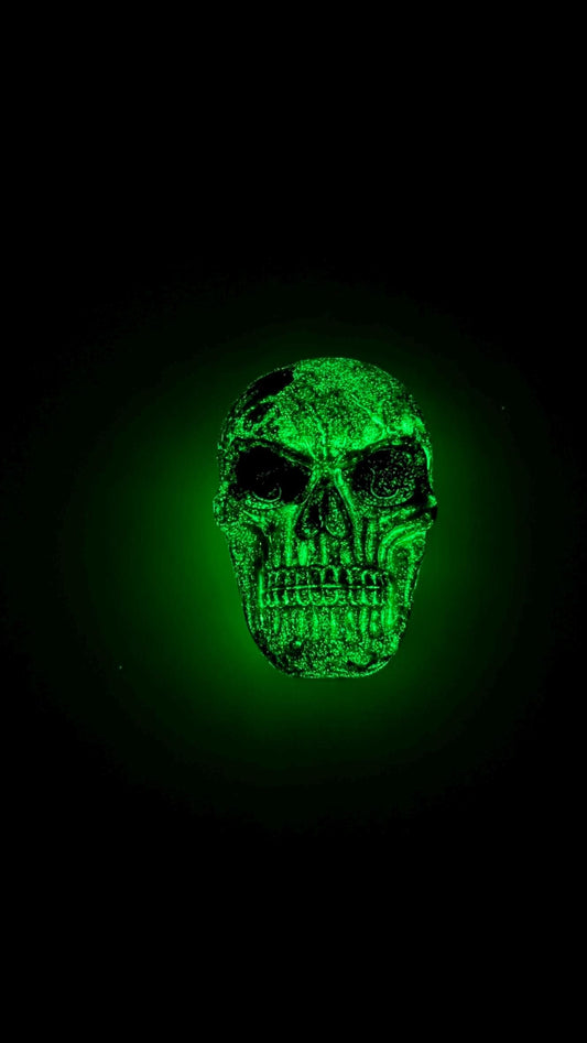 Skull Storage Box